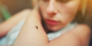 Insektenstich auf Arm