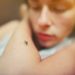 Insektenstich auf Arm